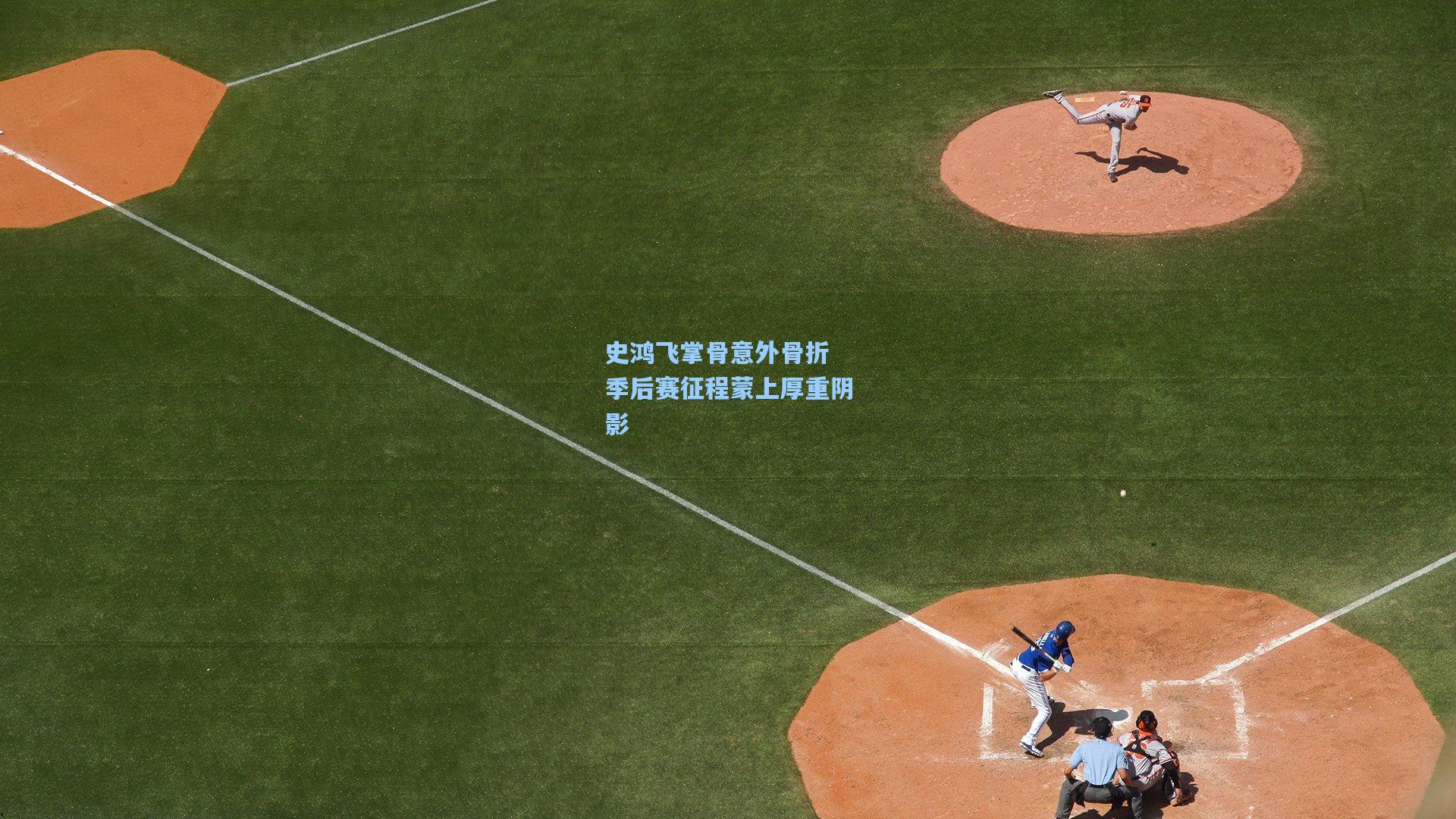 史鸿飞掌骨意外骨折 季后赛征程蒙上厚重阴影